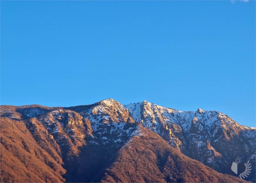 vista