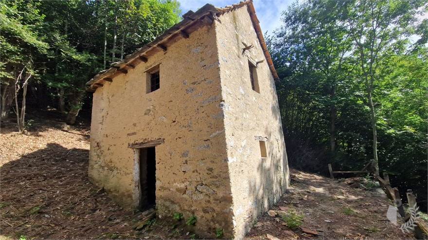 esterno
