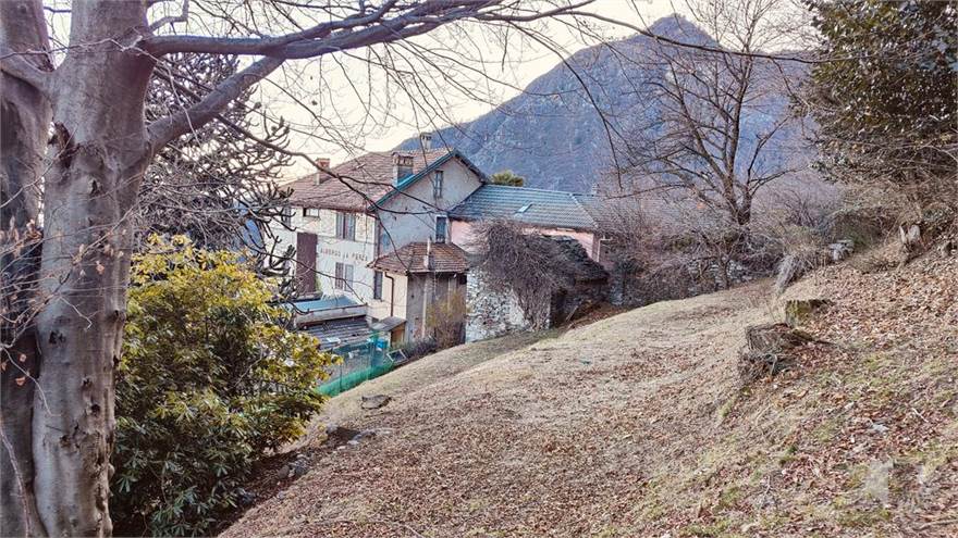 giardino