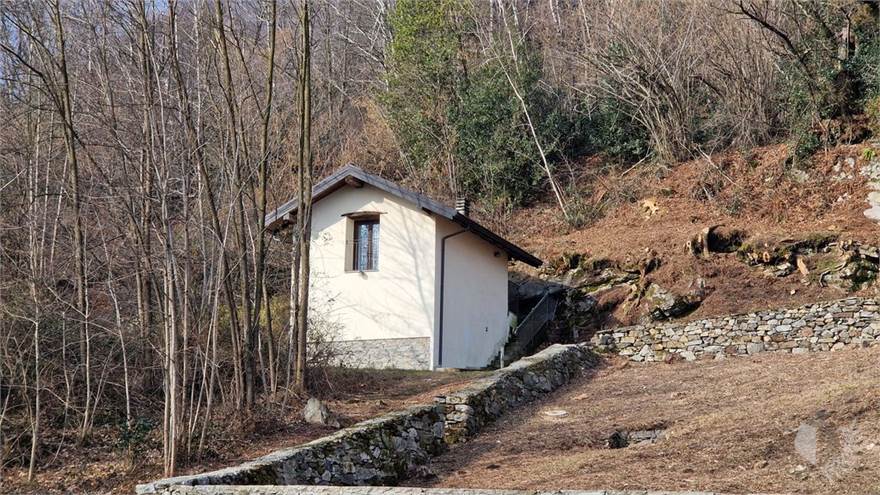 esterno