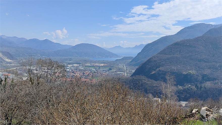 vista