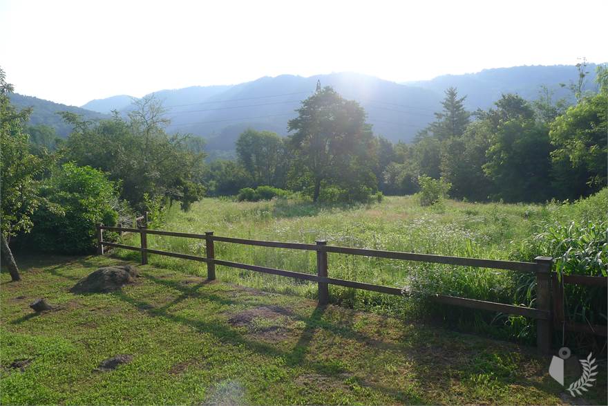 terreno
